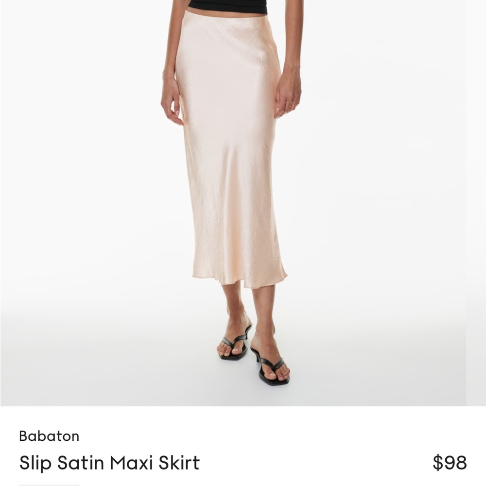 Aritzia Babaton Slip maxi skirt